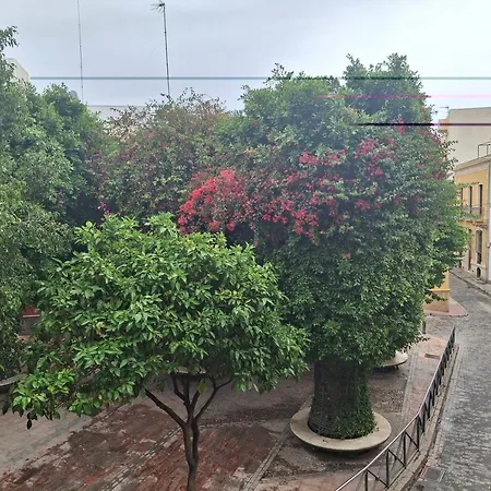 La Pita Guesthouse-3